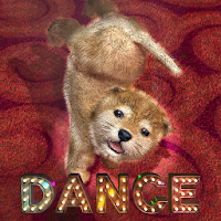 Animal Dance puppies