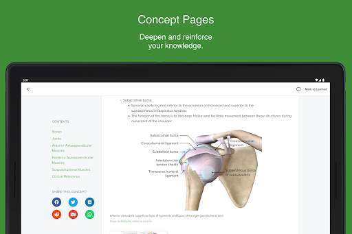 Brokenshire College Medicine screenshot 7