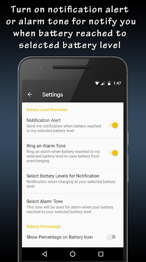 Battery Full Alarm Screen 2