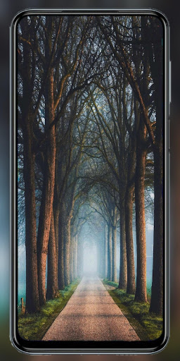 Wallpaper Zone - HD Wallpapers and QHD Backgrounds