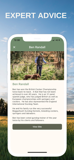 Gundog Screen 3