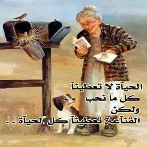 Android application عبارات جميله من الحياه screenshort