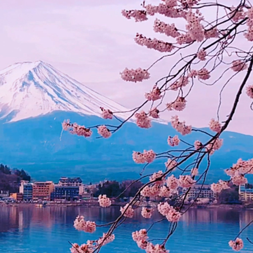 富士山の壁紙 桜の花の壁紙 Google Play のアプリ