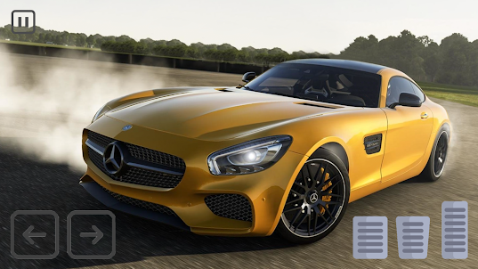 AMG GT Mercedes - Race Master