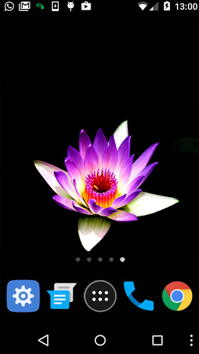 water lilies wallpaper Screen 2
