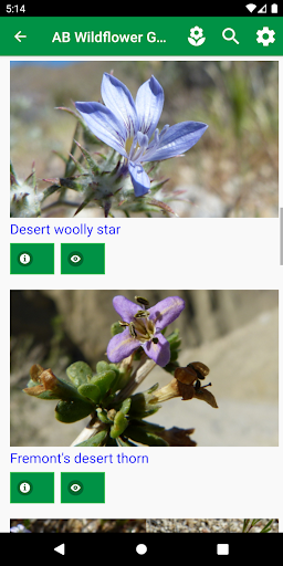Android application Anza-Borrego Wildflowers screenshort
