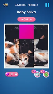 Cat slide puzzle: piece match