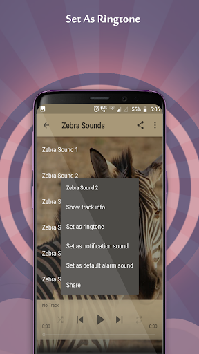 Zebra Sounds Screen 2