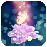 Butterfly Wallpapers icon