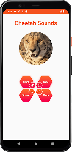 Cheetah Sounds Screen 2