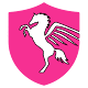 Pegasus VPN- DNS Changer- Best Free Download on Windows