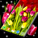 Cover Image of Herunterladen Spring Tulip Live Wallpaper 6.9.4 APK
