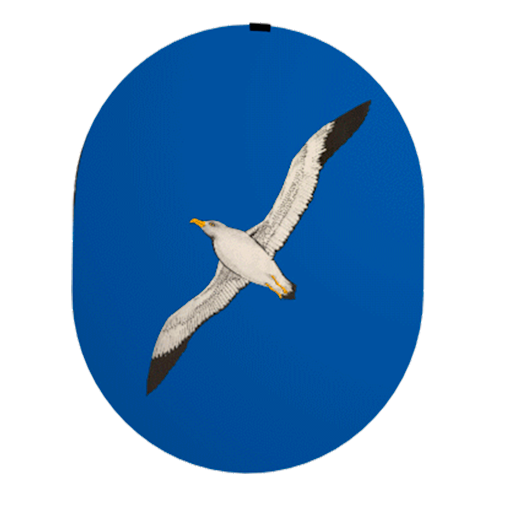 Deportes Unpsjb logo