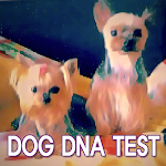 Cover Image of Tải xuống Dog DNA Test 1.0.2 APK