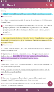 Captura 21 Dicionário Bíblico Completo android