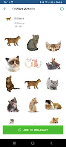 Kitten Sticker for WhatsApp