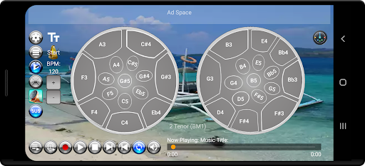 Musical Steel Drums Screenshot 3 - AppWisp.com