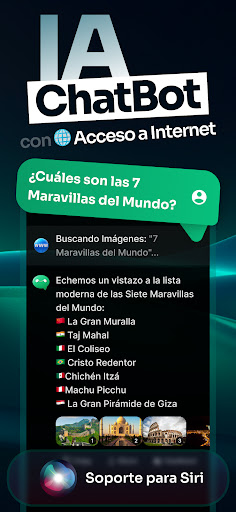 Vista previa de la aplicación