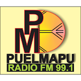 Radio Puel Mapu 99.1 icon