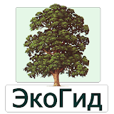 EcoGuide: Trees in Summer icon