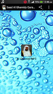 Saad Al Ghamidy Quran MP3