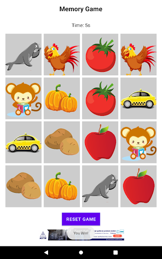 BrainFlip Memory Master