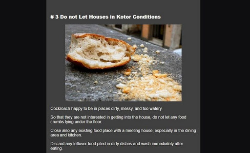 how to repel cockroaches