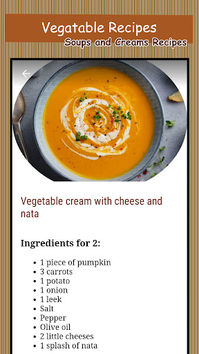 Soups and Creams Recipes Screen 2