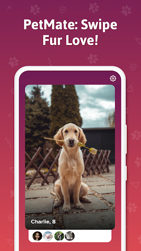 PetLuv Screen 3