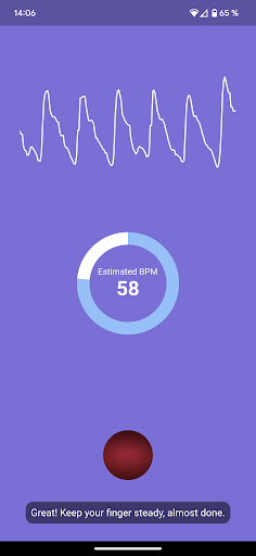 HeartGuardian. Heart Rate Screen 2