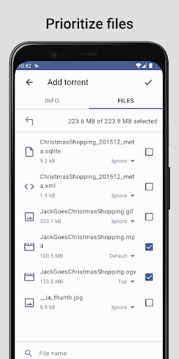 BitKT - Torrent Client Screen 2