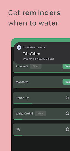 Taime Taimer Screen 3