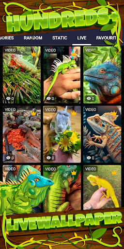 iguana wallpaper Screenshot 3 - AppWisp.com
