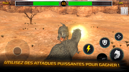 Capture d'écran