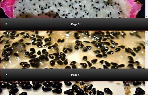 Make Dragon Fruit Seeds from S