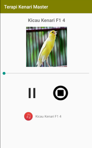 Terapi Kenari Master F1 dan L