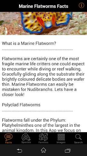 Marine Flatworms ID Screen 2