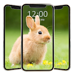 Cover Image of Télécharger Cute Rabbit Wallpaper HD  APK