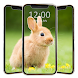 Cute Rabbit Wallpaper HD - Androidアプリ