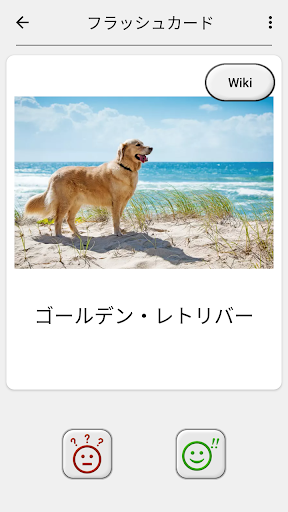 犬 - すべての一般的な犬の品種に関するクイズ screenshot