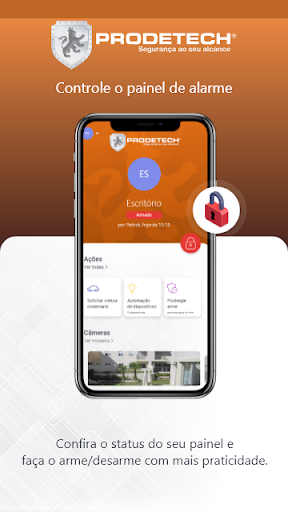 Prodetech Security Screen 2