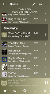 USB Audio Player PRO APK [PAID] 6.0.7.8 For Android 4