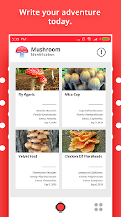 Mushroom Identification Screenshot