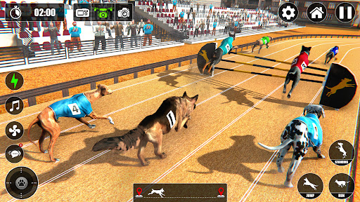 Dog Racing Championship Game Screen 2