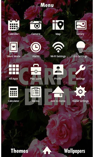 Flower Theme-Carpe Diem- Screen 2