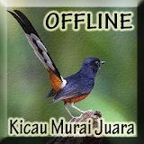 Kicau Murai Batu Offline icon