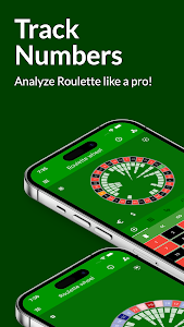 Roulette Dashboard: Casino App Unknown