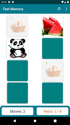 Brain Game. Match The Picture Screen 2