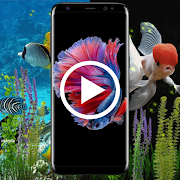 Top 30 Personalization Apps Like Fish Live Wallpaper - Best Alternatives