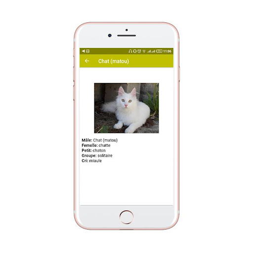 Noms des animaux/Femelle/petit Screen 3